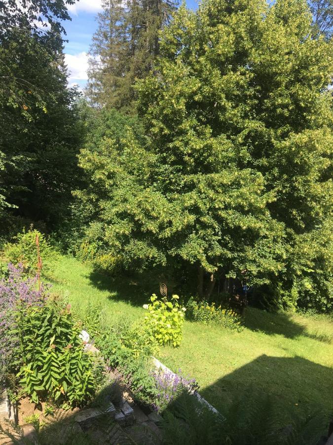 Ferienhaus Rotzinger Hinterzarten Ngoại thất bức ảnh